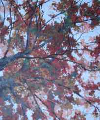 Imminent Autumn