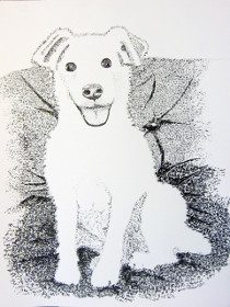 Jake