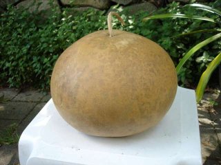The Gourd